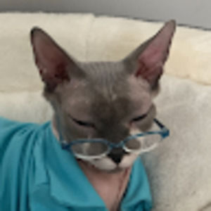 Meet your Posher, Charlie